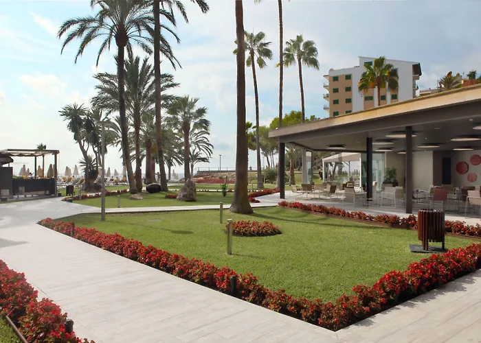 Palace Bonanza Playa Resort & Spa By Olivia Hotels Collection Illetas